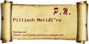 Pillisch Melióra névjegykártya
